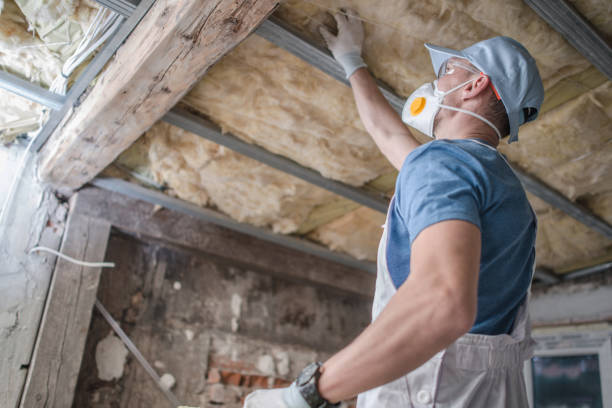 Best Cellulose Insulation in Honesdale, PA